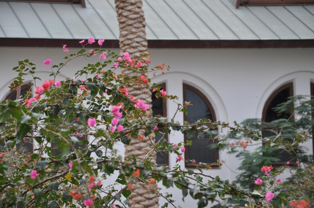 Russian Pilgrim Residence Sweimeh ภายนอก รูปภาพ